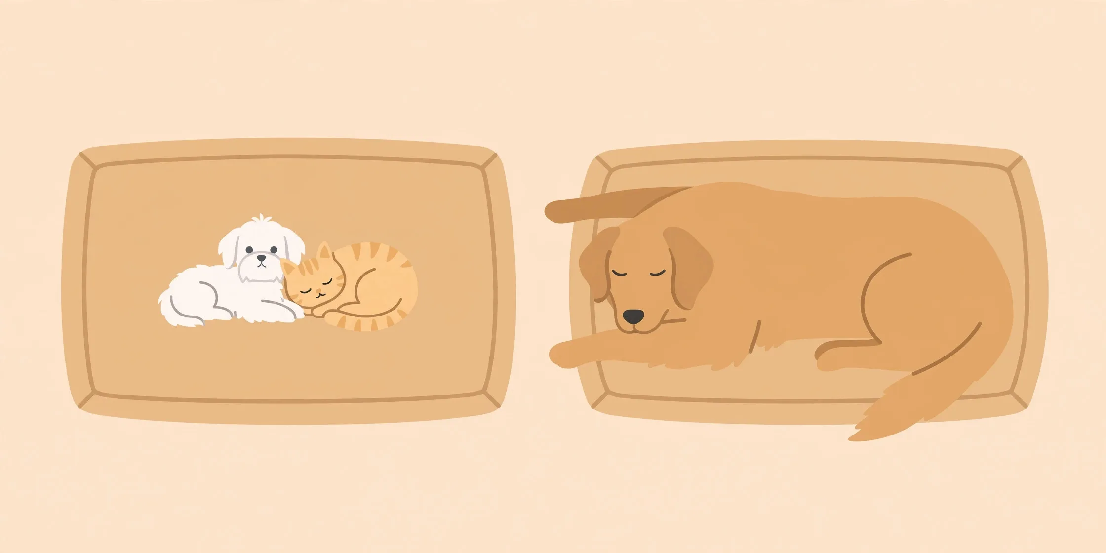 40x60cm 매트에 누운 소형견·고양이와 중형견의 크기 비교 도식